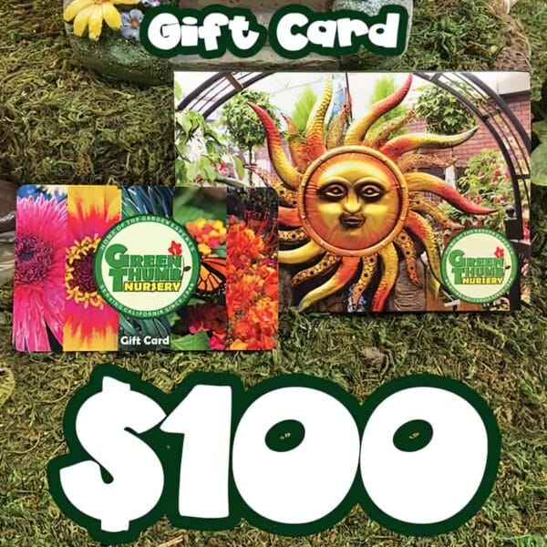 A $100 Green Thumb Nursery Gift Card (physical card mailed) is shown, one with flowers and another with a sun face sculpture, both displayed on moss.