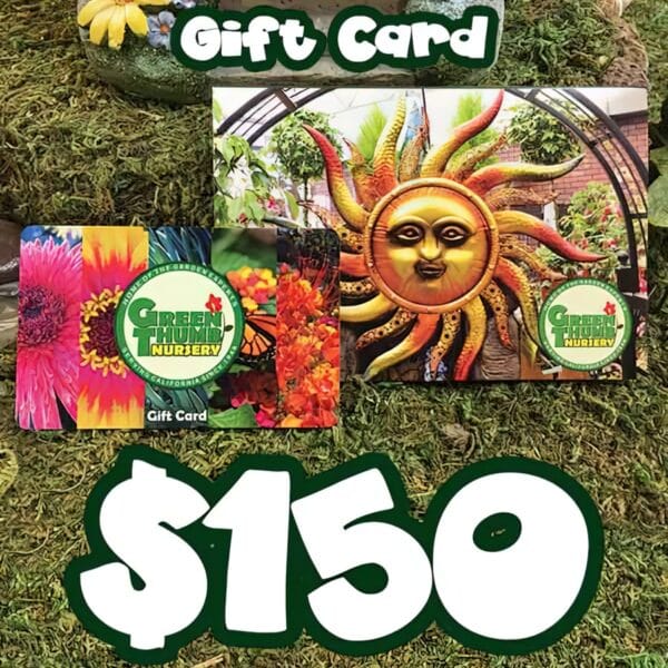 A $150 Gift Card (physical card mailed) with vibrant designs is shown on a mossy surface, with "$150" featured prominently beneath it.