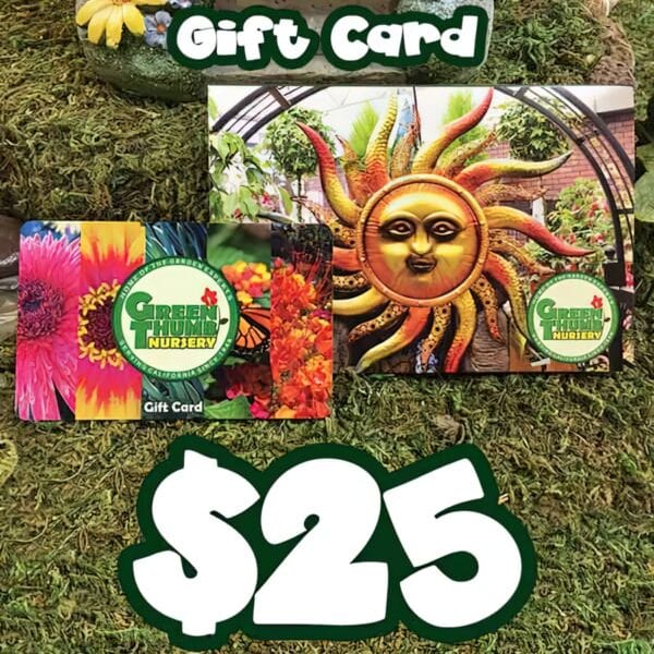 Two $25 Green Thumb Nursery Gift Cards (physical card mailed), featuring flower and sun face designs, displayed on moss.