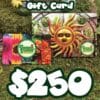 $250 Gift Card (physical card mailed) with gift card holder featuring a sun face garden decoration and flowers, plus a prominent "$250" displayed at the bottom.
