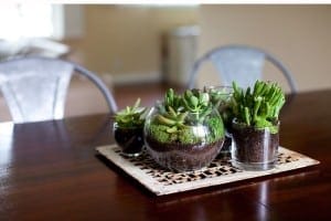 DIY-terrarium-6-650x433