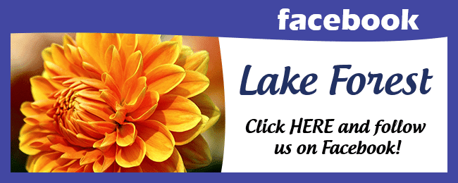 Lake forest facebook page.