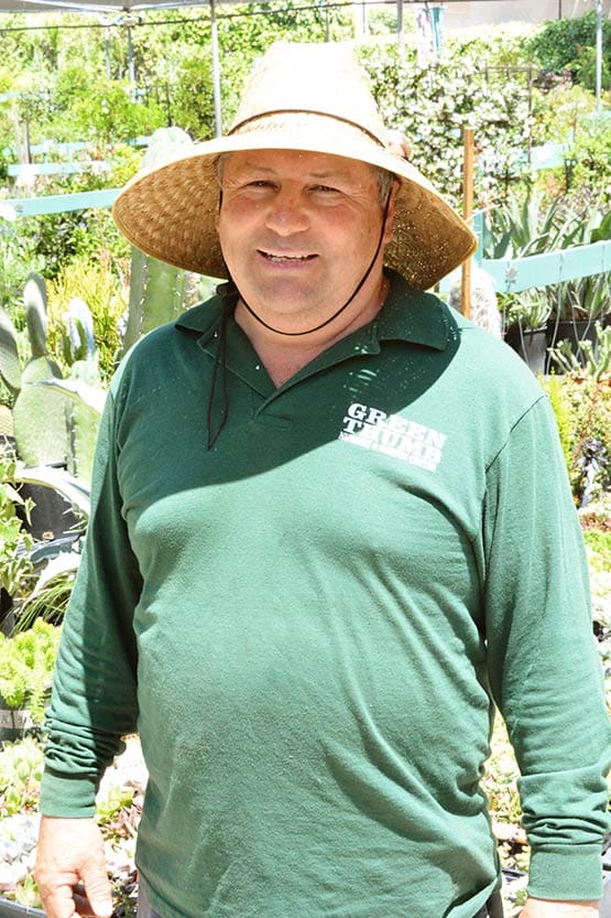 A man in a green shirt standing in front of a cactus garden.
