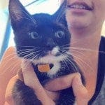 FullSizeRender-2-e1439749155256-150x150