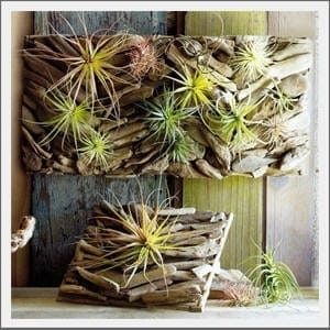 46eef20d4034a05e5434aab2e7d56d5a