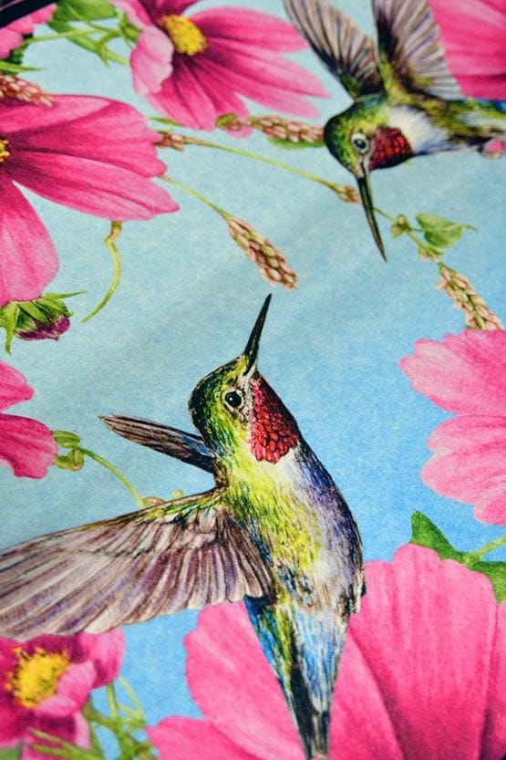 Hummingbirds on a blue background with pink flowers.
