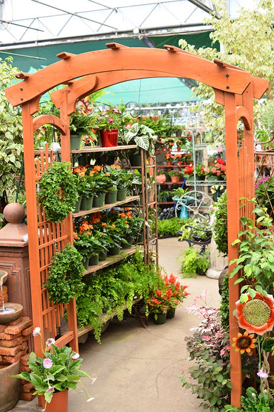 A greenhouse with a lot of potted plants.