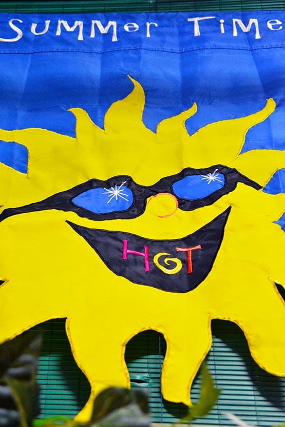 A banner with a sun on it.