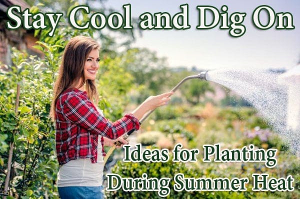 Find planting inspiration and beat the summer heat at a top-rated SoCal garden center.