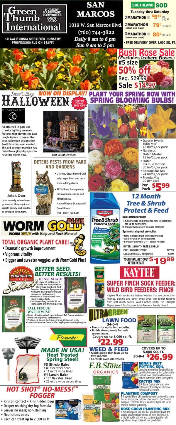 A Southern California plant nursery displaying a variety of plants and flowers for sale.