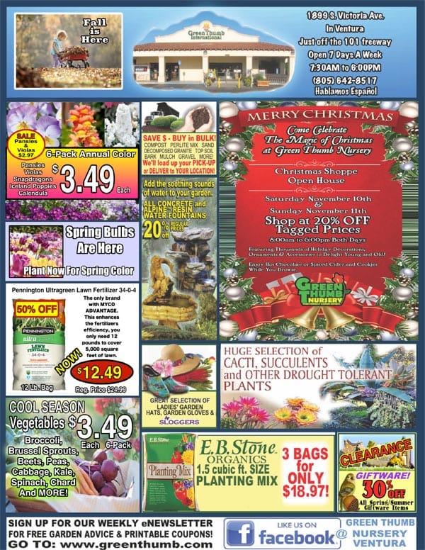A flyer featuring a Southern California garden center's Christmas tree.
