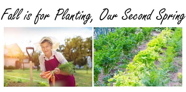 Find your local SoCal garden center for all your planting needs.