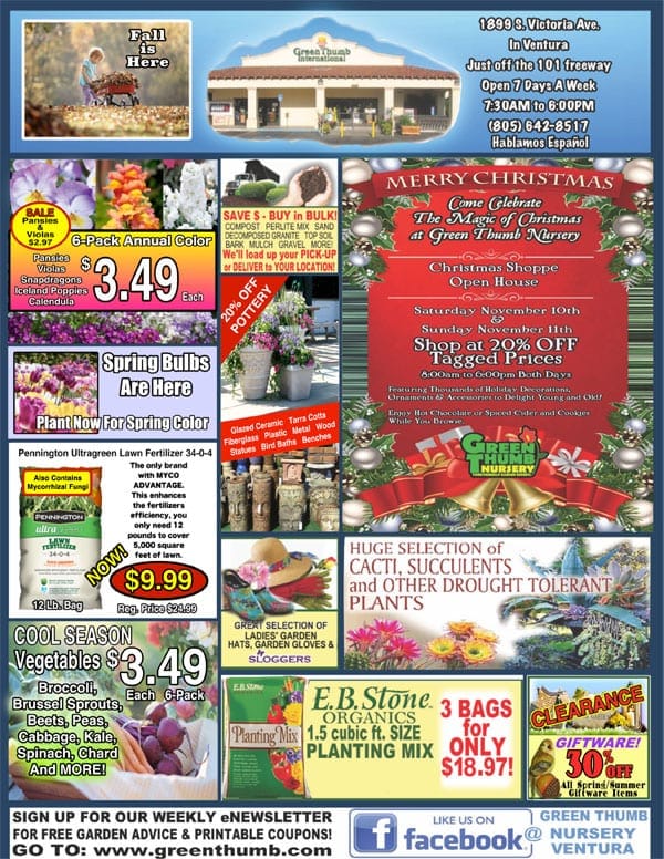 A flyer for a Southern California plant nursery featuring a picture of a flower shop.
