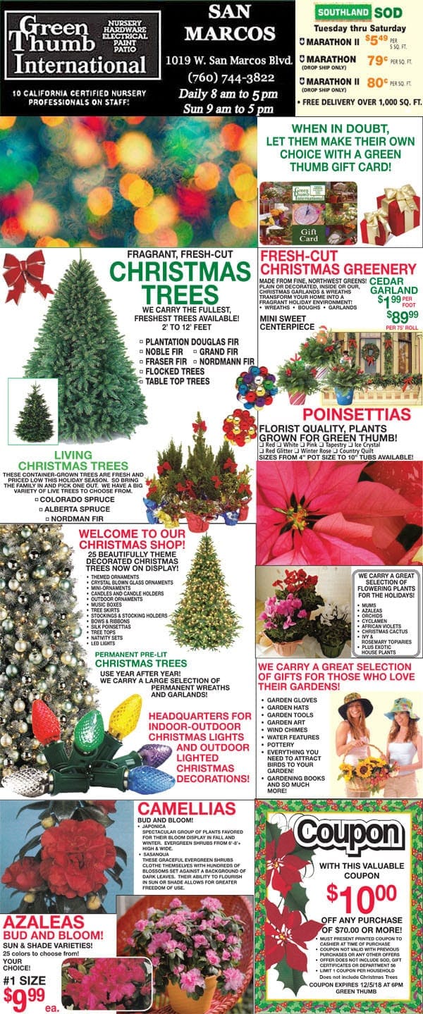 A flyer for a holiday tree sale at a Southern California garden center.