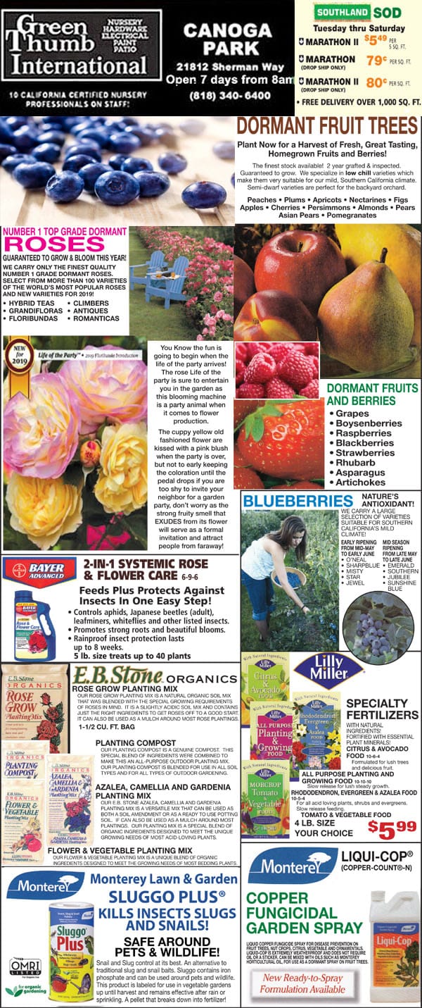 The front page of the flower international magazine featuring a plant nursery near me.