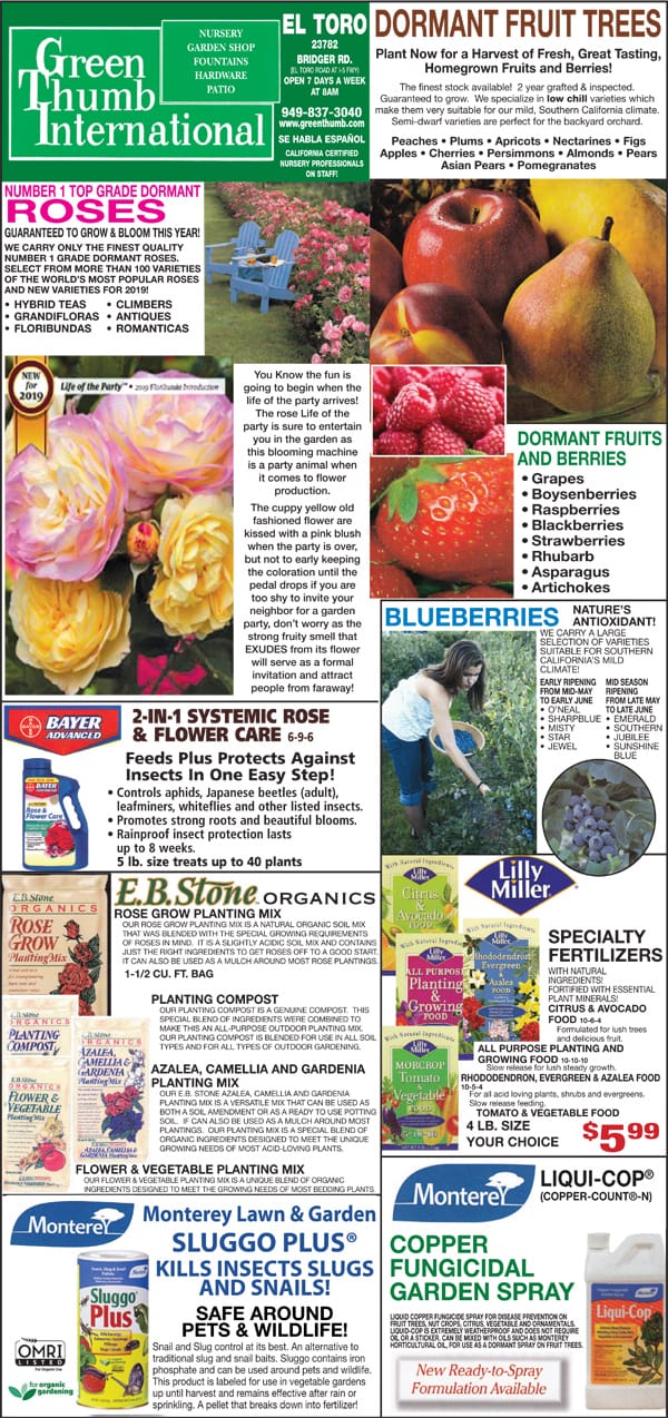 The front page of the green international magazine featuring a nearby plant nursery.