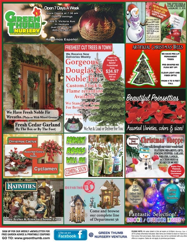 A collage of images showcasing various Christmas trees from a nearby nursery and garden center in Southern California.