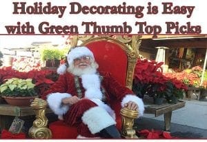 Holiday decorating made easy with top picks from a nearby garden center.