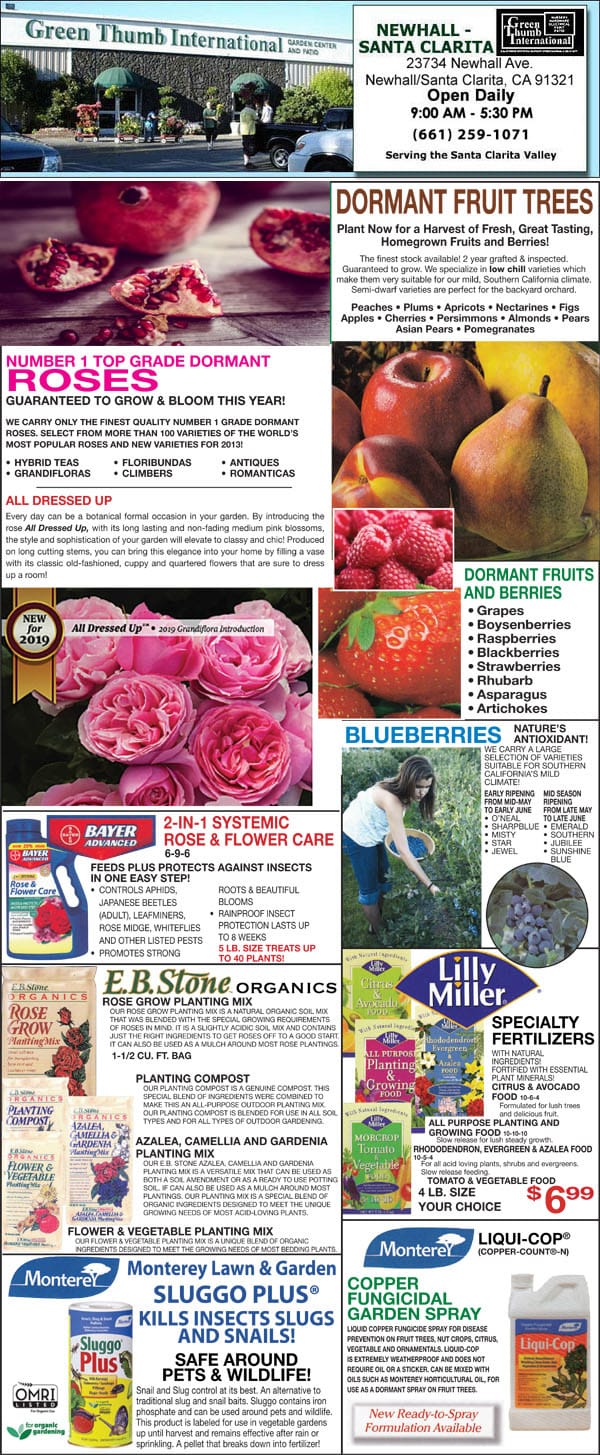 A newspaper ad for a plant nursery near me.
