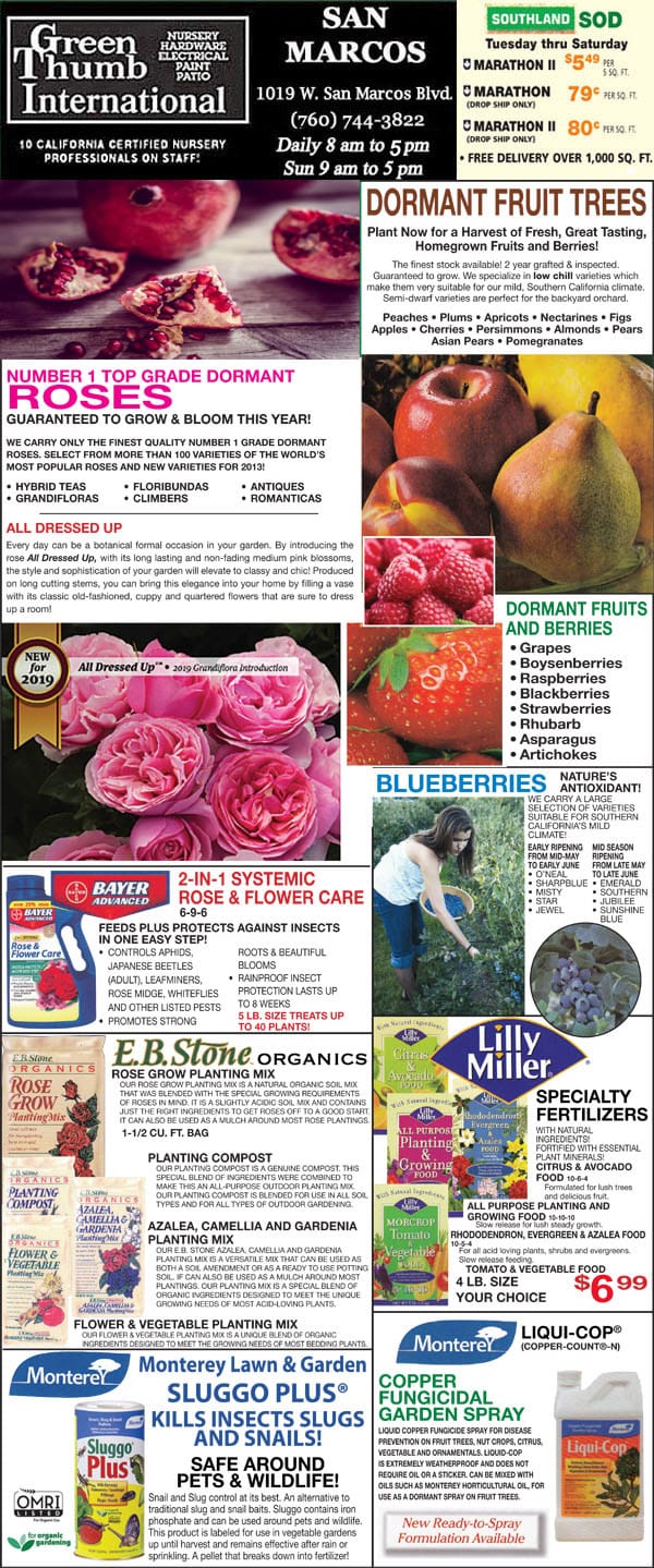 A flyer showcasing a variety of fruits and vegetables available at a plant nursery near me.