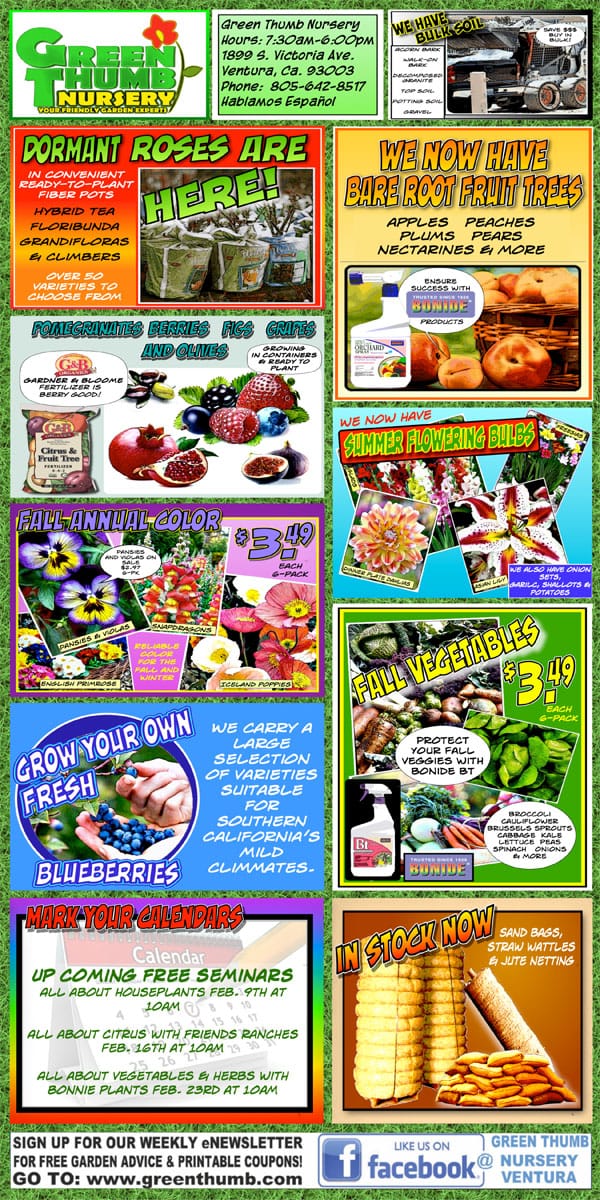 Front page, newspaper.