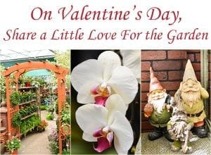 Visit a SoCal garden center near me to share a little love for the garden on Valentine's Day.
