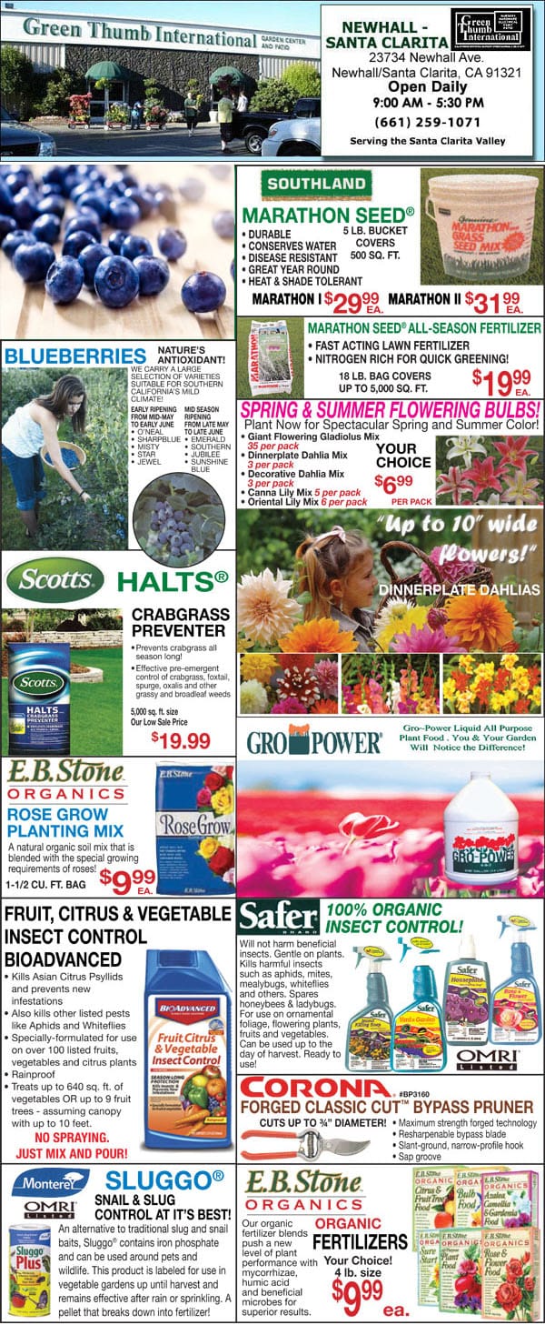 A flyer showcasing a variety of fruit and vegetables from a Southern California garden center.