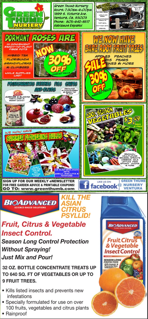 A flyer showcasing a variety of fruits and vegetables available at a plant nursery near me in Southern California.
