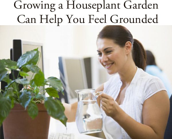 Growing a houseplant garden at a nearby garden center can help you feel grounded.