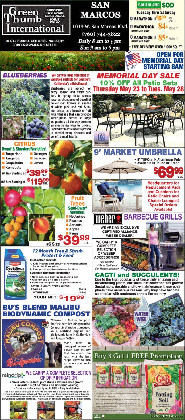 French nursery flyer featuring international markets.