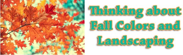 Looking for a plant nursery near me in Southern California for fall colors and landscaping ideas.