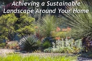 Creating a sustainable landscape around your home with the help of a Southern California plant nursery.