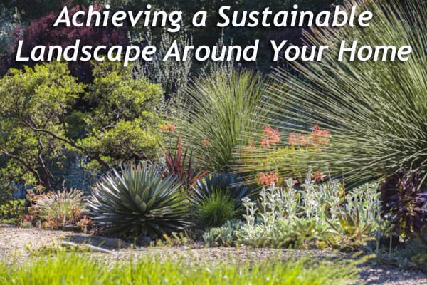 Creating a sustainable landscape around your home with the help of a Southern California plant nursery.