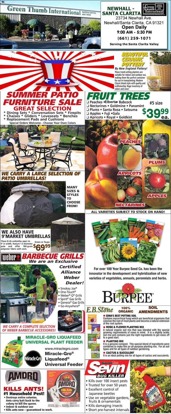 A plant nursery near me displaying a variety of fruit and vegetables on the front page of a newspaper.