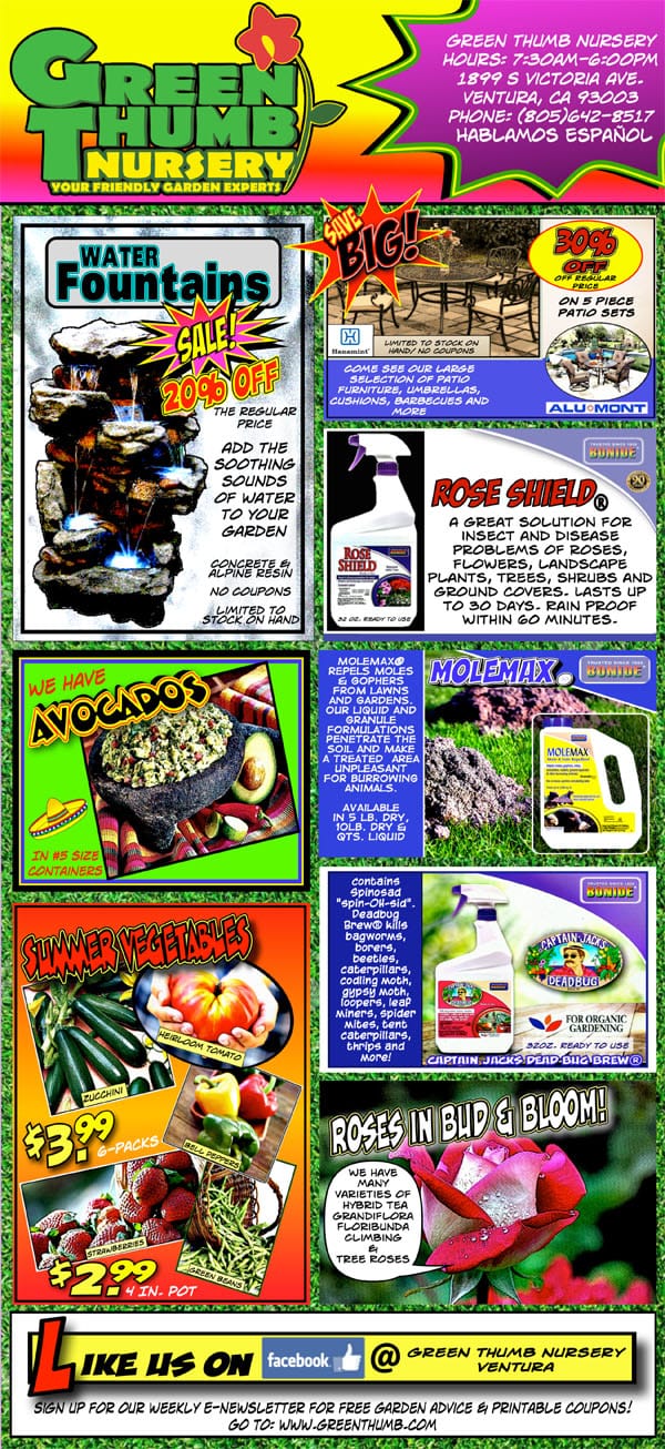 A SoCal garden center's magazine cover featuring diverse items.