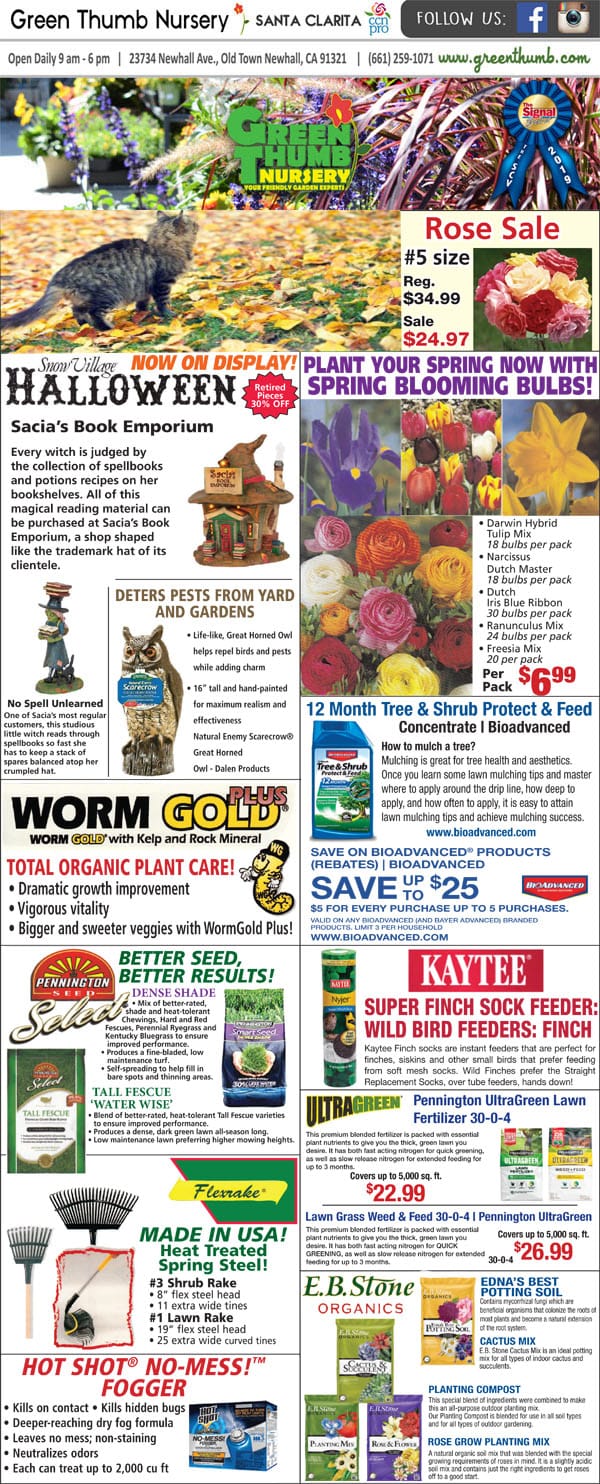 The front page of a newspaper featuring a garden center near me.
