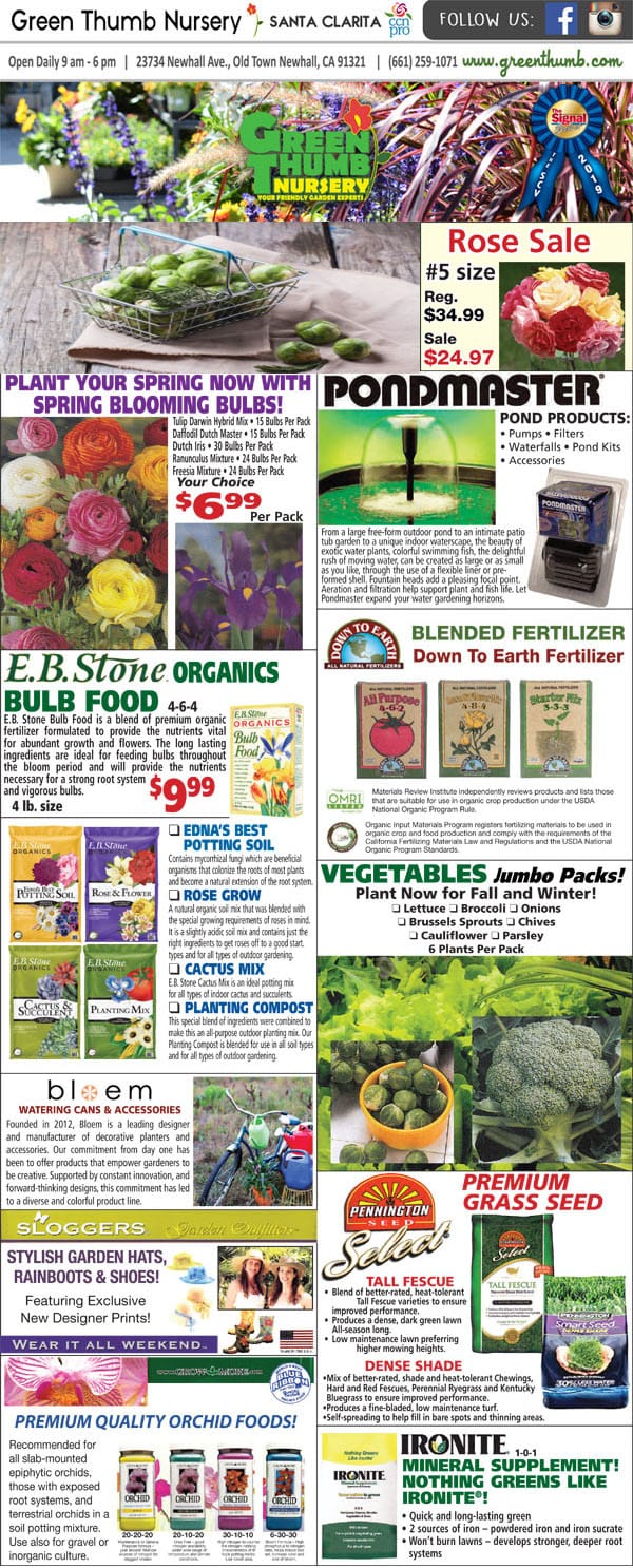 A diverse selection of plants and flowers at a Southern California plant nursery.