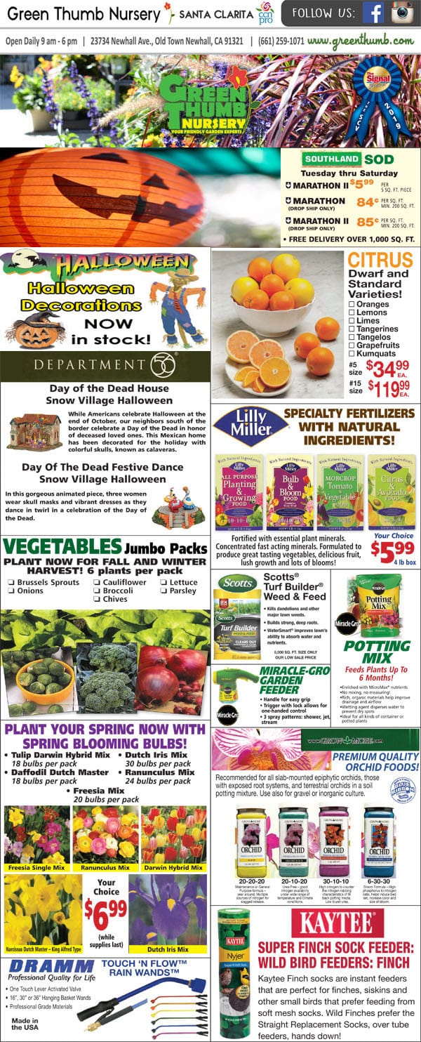 The front page of a newspaper featuring an array of vegetables and fruits from a SoCal garden center.