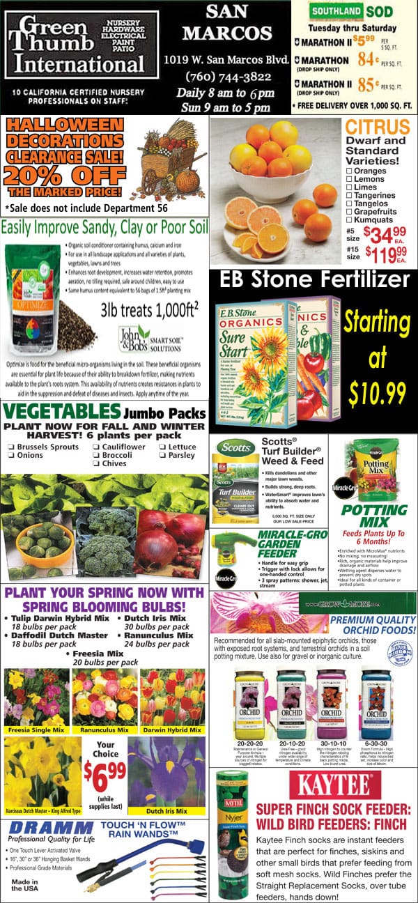 A diverse range of products including nursery items and plants available at a Southern California plant nursery.