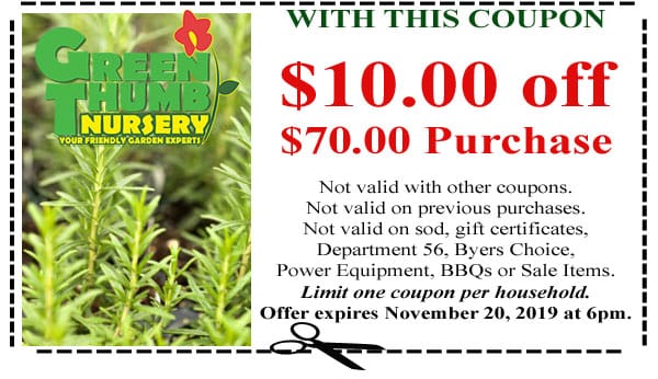 Green frog nursery, Southern California plant nursery.