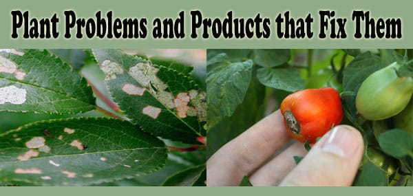 One-stop solution for plant problems at a Southern California plant nursery.