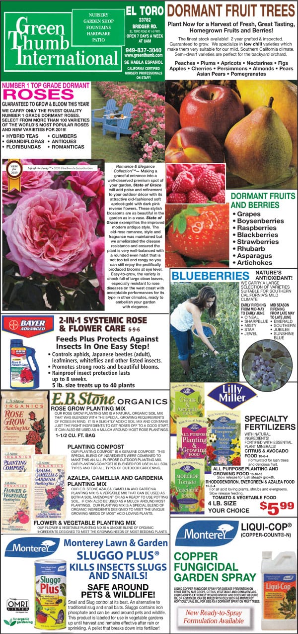 The front page of the green international garden center magazine.