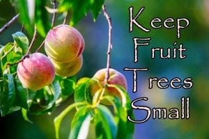 Find a garden center near me in Southern California that specializes in keeping fruit trees small.