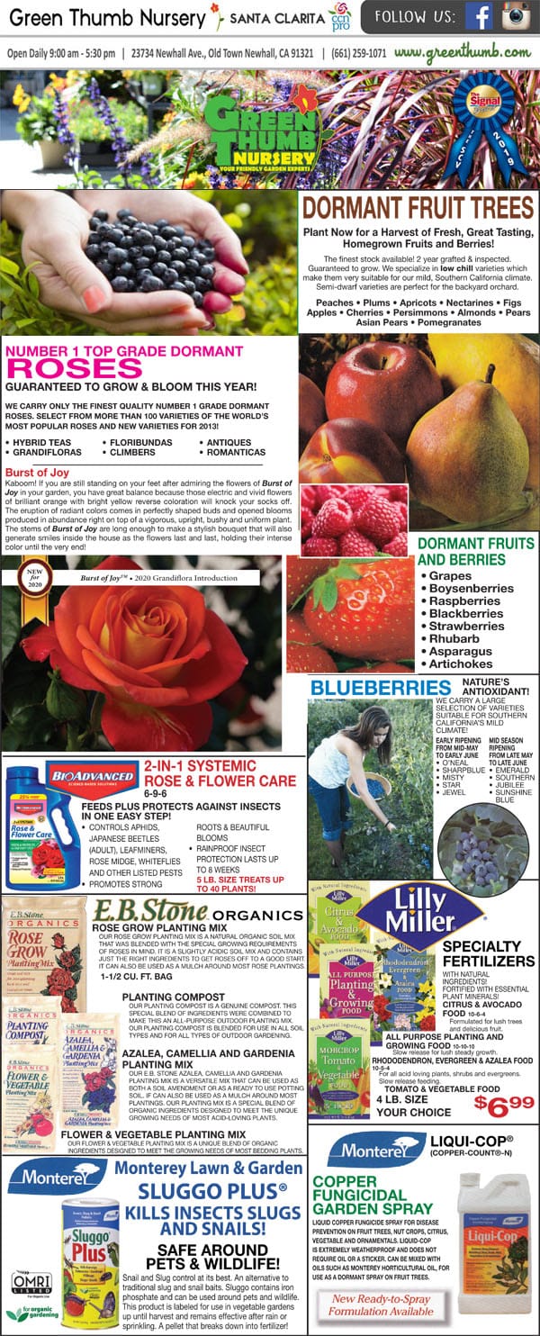 The front page of a newspaper promoting a SoCal garden center with fruits and vegetables displayed.