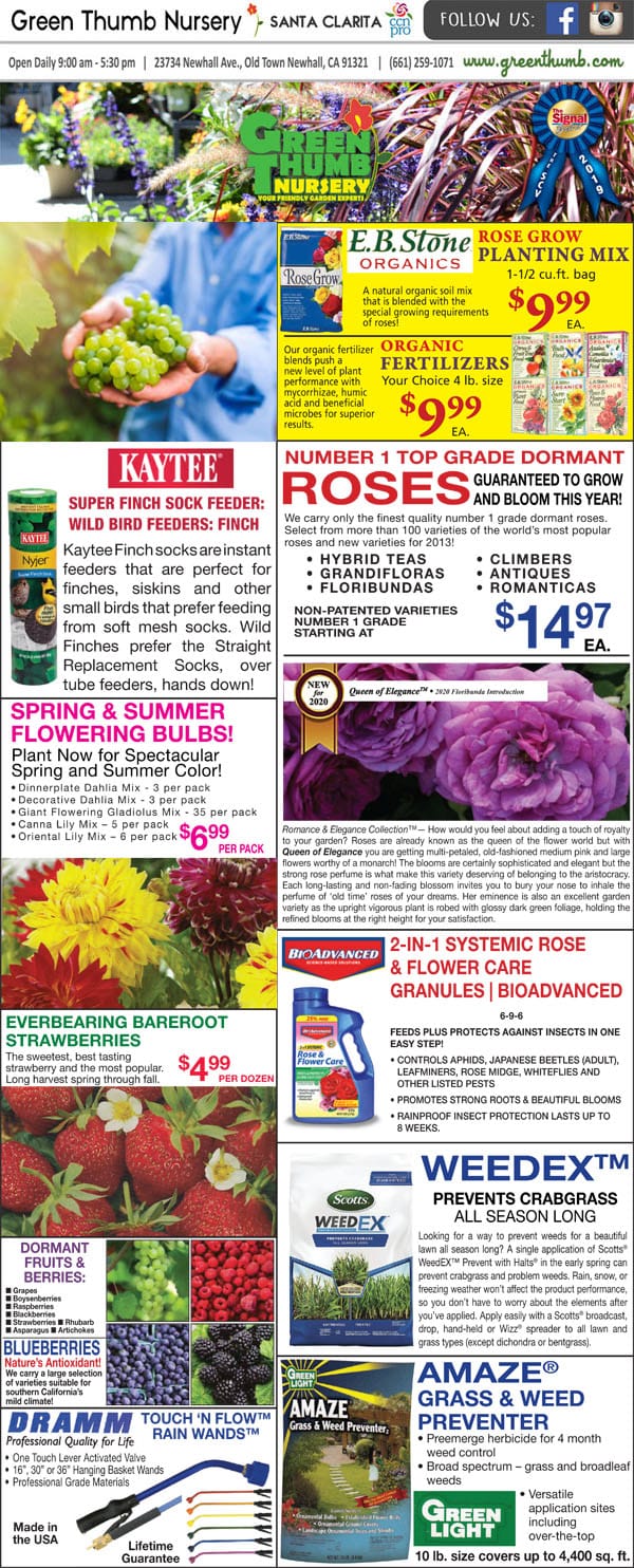 The front page of the Southern California garden center's journal.