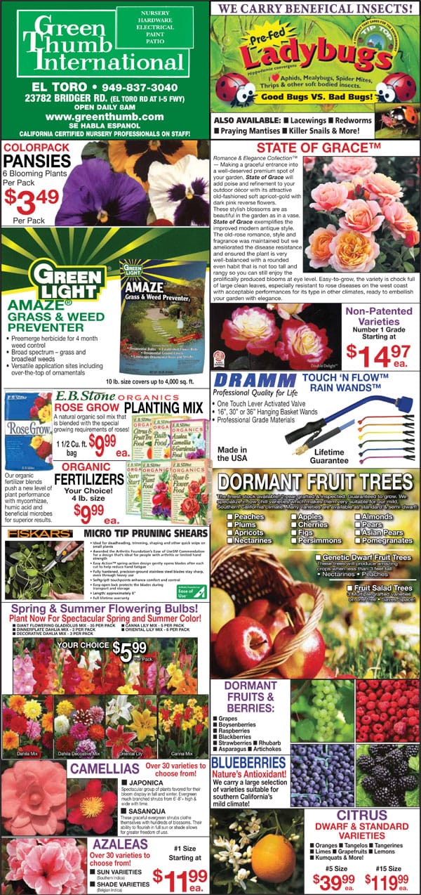 A flyer showcasing various flowers and plants available at a plant nursery.
