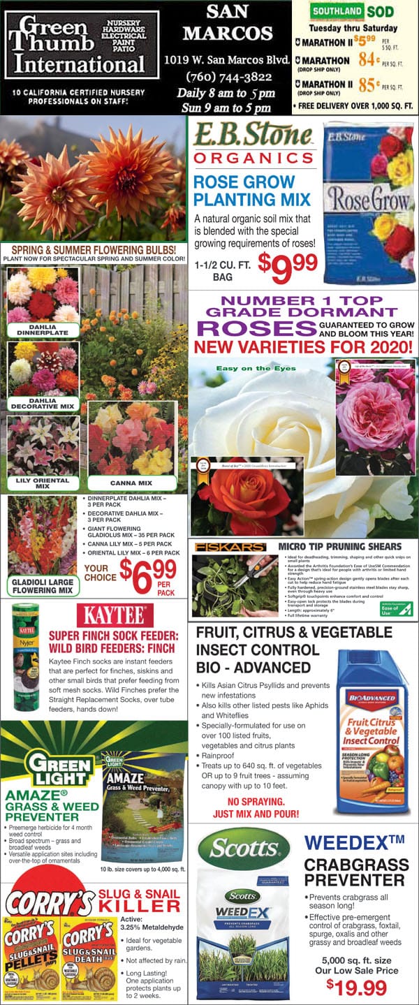The front page of a newspaper featuring a vibrant display of flowers from a local garden center near me.