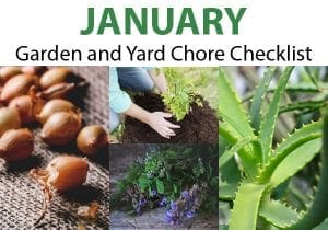 January garden and yard chore checklist for homeowners looking for a nearby plant nursery or garden center.