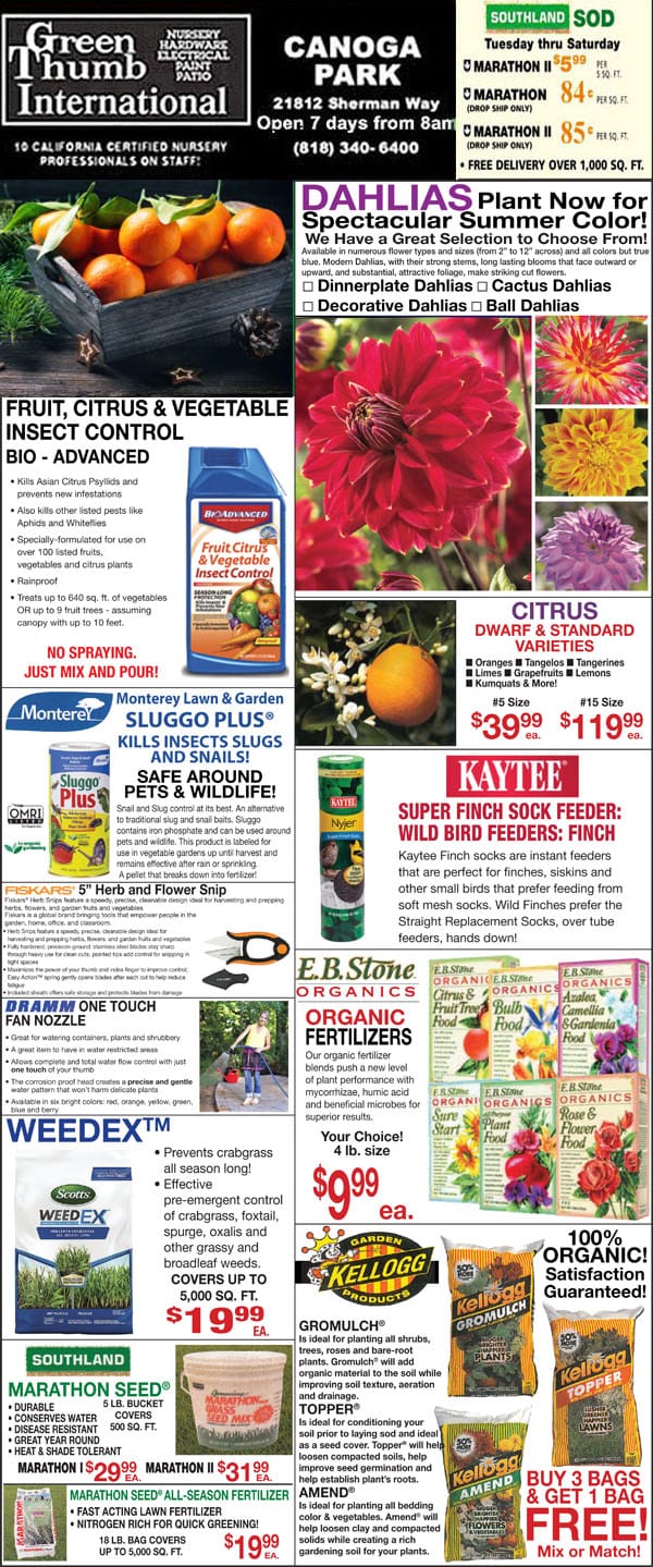 A flyer for a plant nursery near me offering a variety of fruits and vegetables.