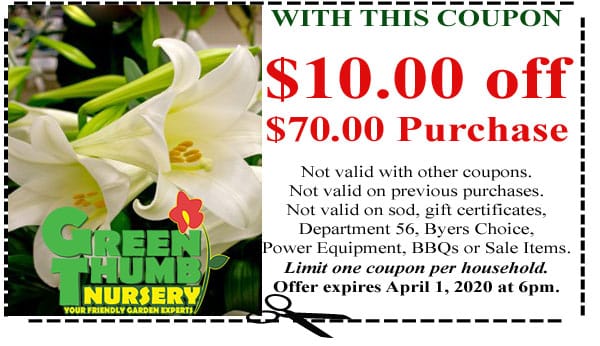 A coupon for a green nursery featuring a white lily, located at a Southern California garden center near me.